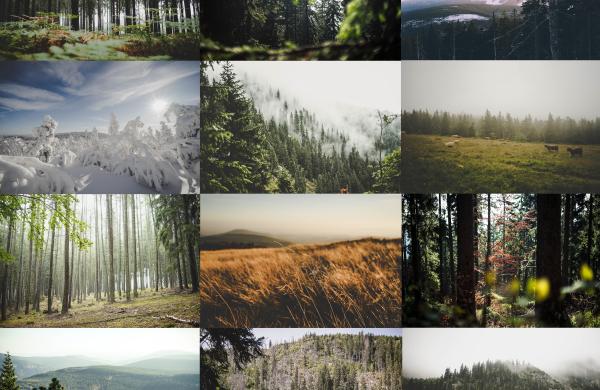 29. seminář pro lesní pedagogy