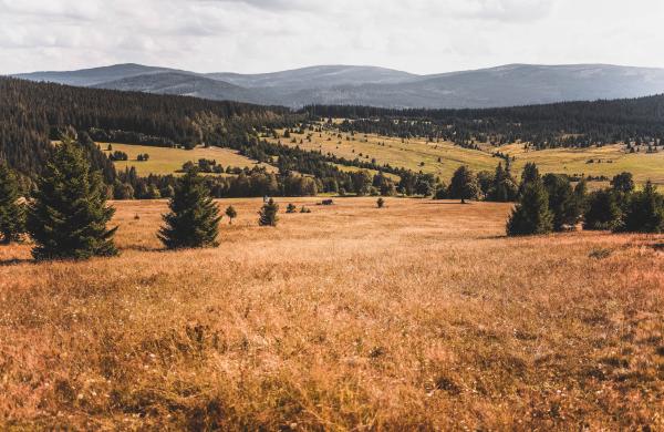 PODÁVÁNÍ JEDNOTNÉ ŽÁDOSTI 2024