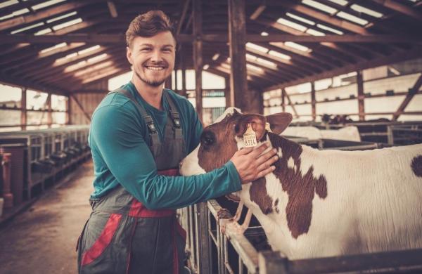 Ilustrační snímek, zdroj Canva