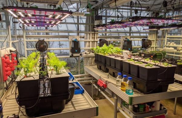 Hydroponie na ČZU