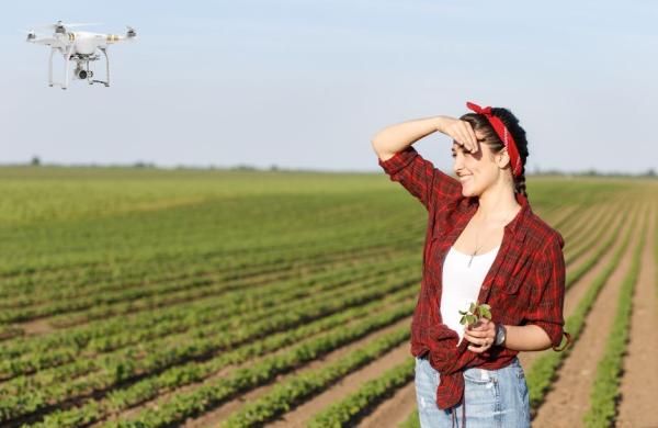 Ilustrační obrázek, zdroj: Canva.com