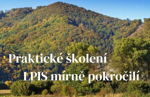 Ilustrační snímek, zdroj Canva