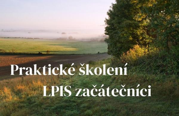 Ilustrační snímek, zdroj Canva