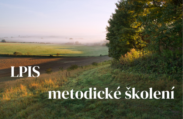 Ilustrační snímek, zdroj Canva