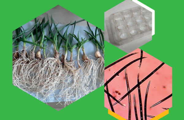 Ilustrační snímek, zdroj CARC