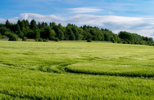 Oblast zemědělství