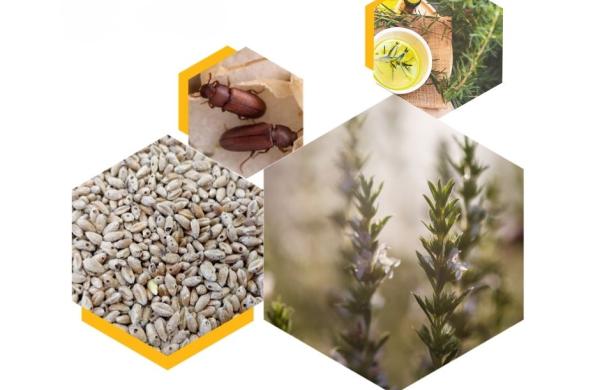 Ilustrační snímek, zdroj CARC