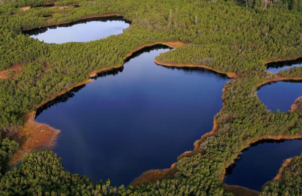 Promítání filmu VODA ZTRACENÁ A VRÁCENÁ