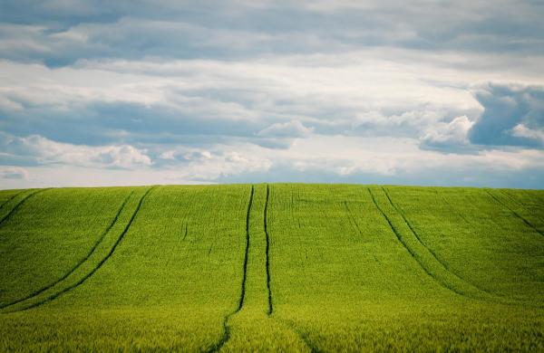 ilustrační foto,  zdroj pixabay.com