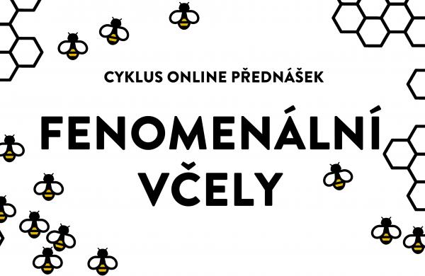 Fenomenální včely - úvodní foto