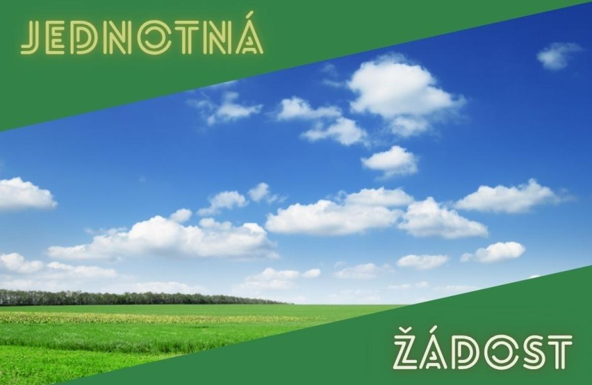 Ilustrační snímek, zdroj Canva.com