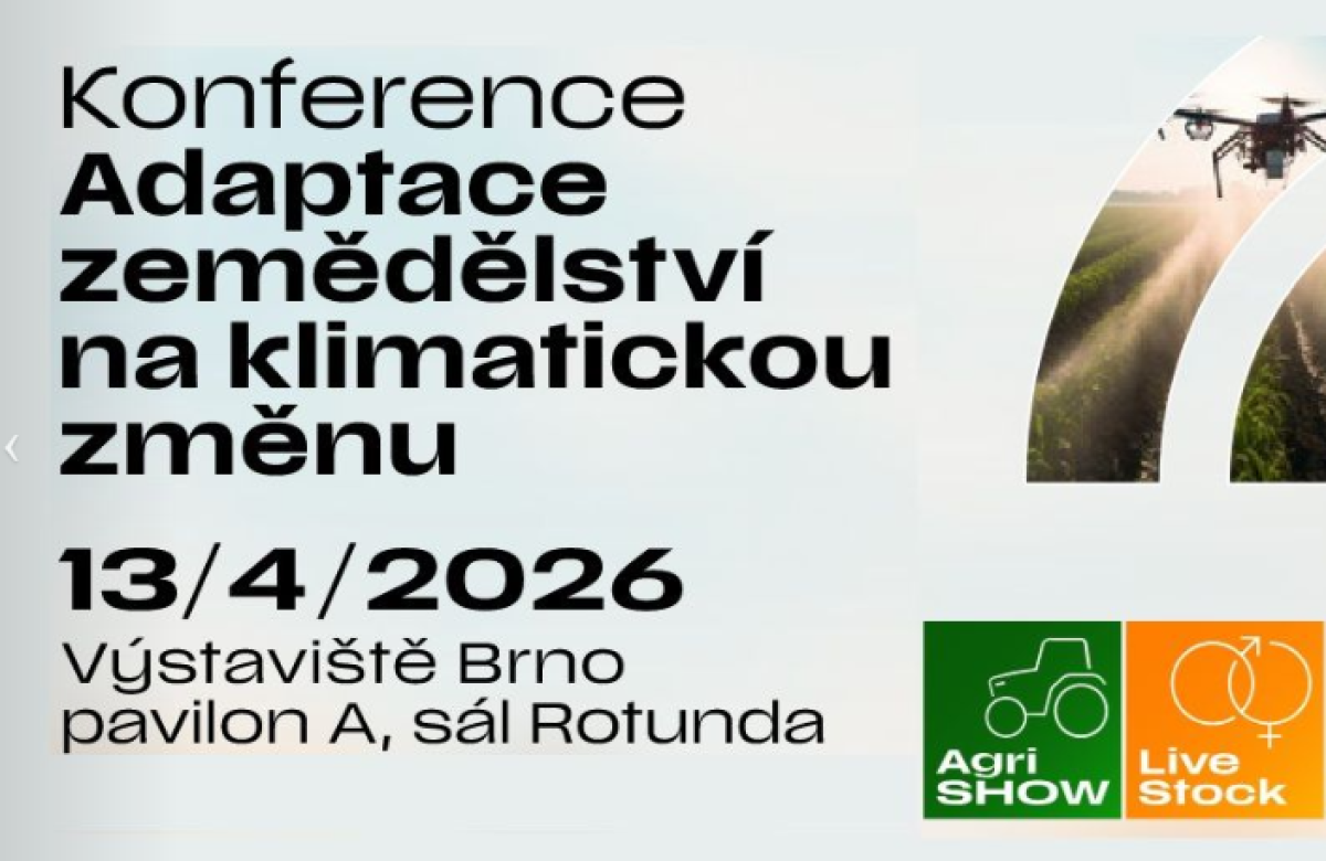 Ilustrační snímek, zdroj pořadatelé BVV