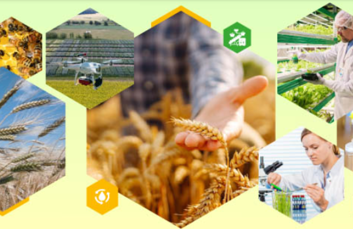 Ilustrační snímek, zdroj CARC