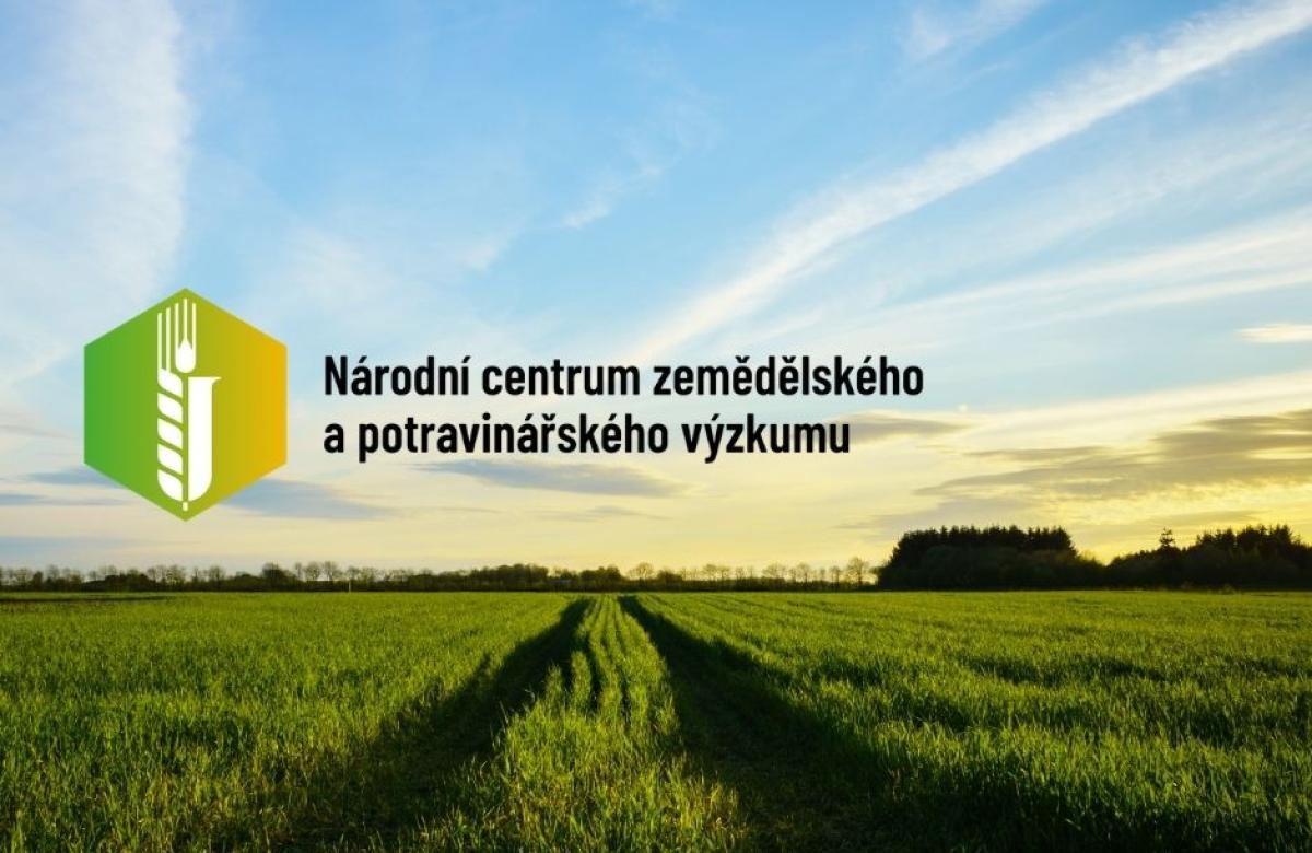 Ilustrační snímek, zdroj: CARC a Canva.com