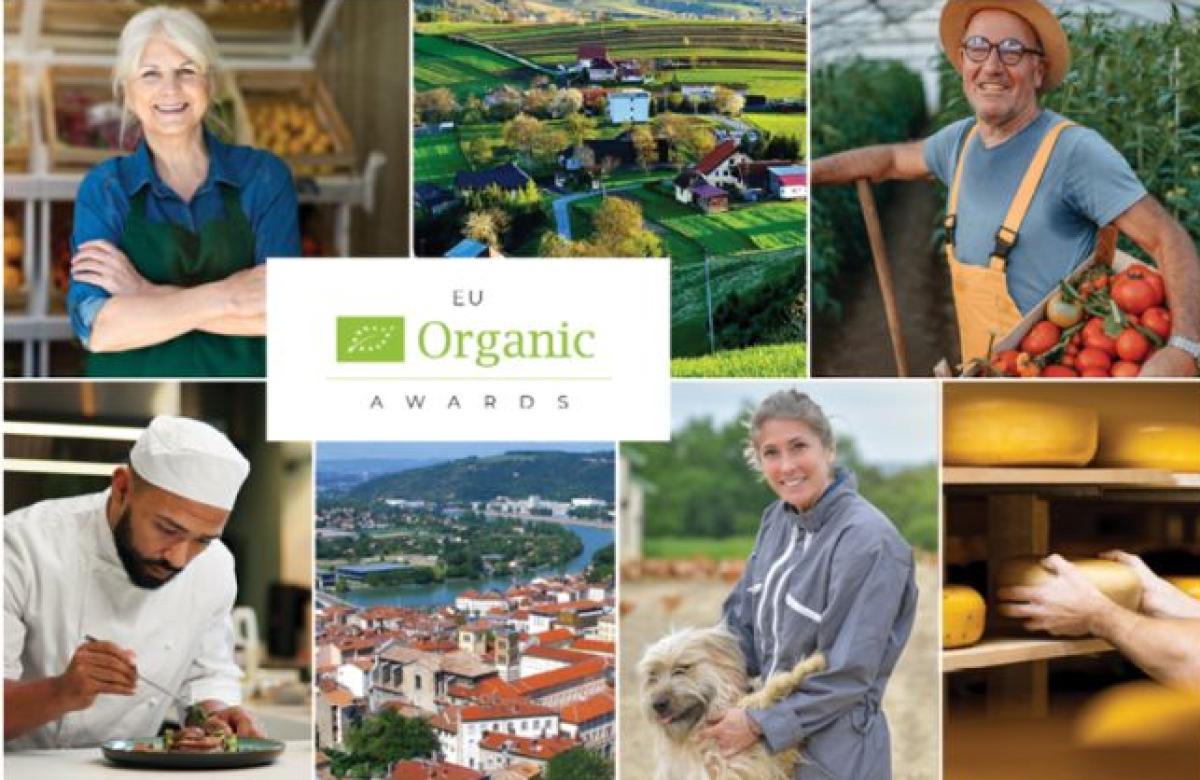 Ilustrační snímek, zdroj © European Union 2026