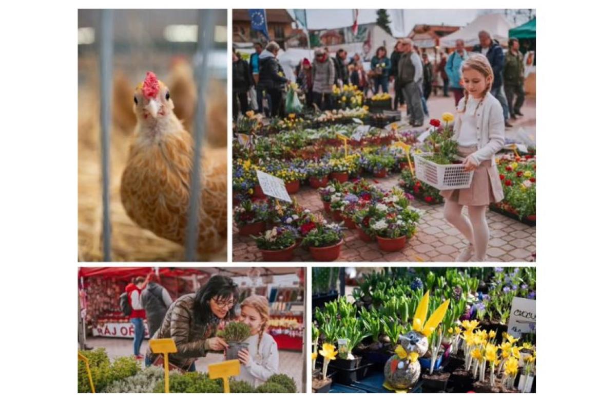 Ilustrační snímek, zdroj  VLL - Jarní zemědělec 2026