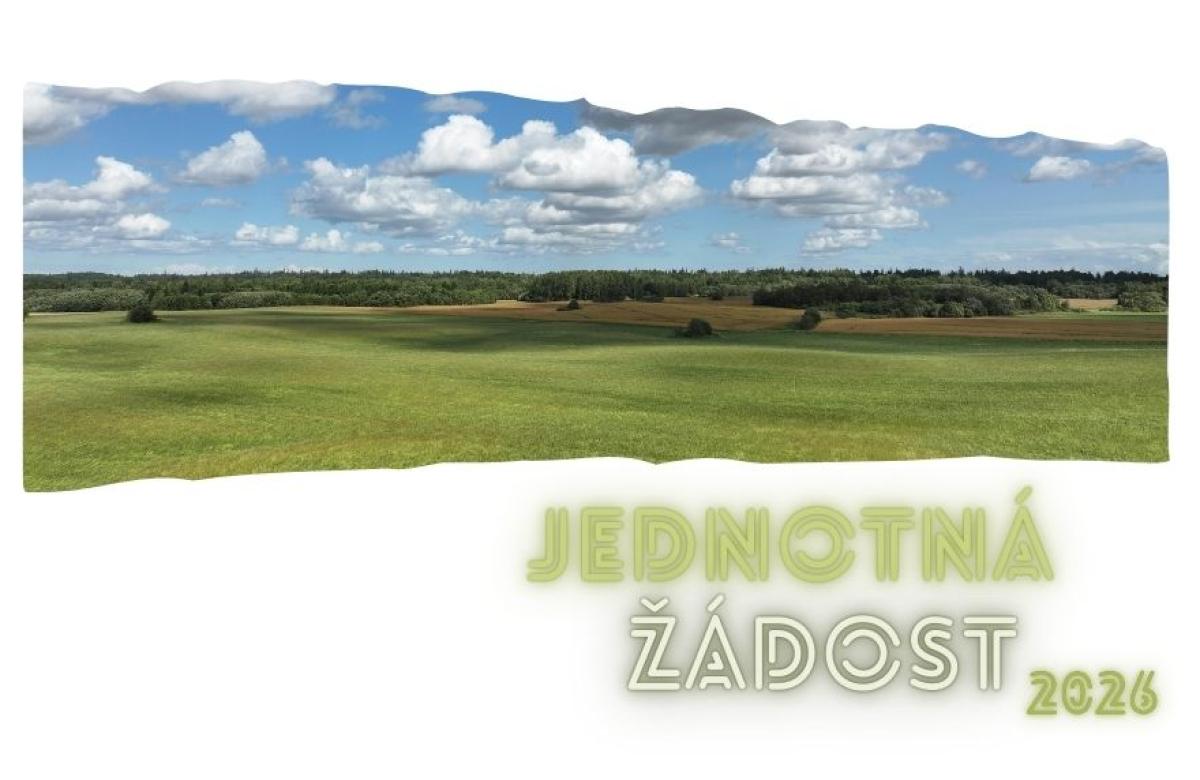 Ilustrační snímek, zdroj  Canva.com