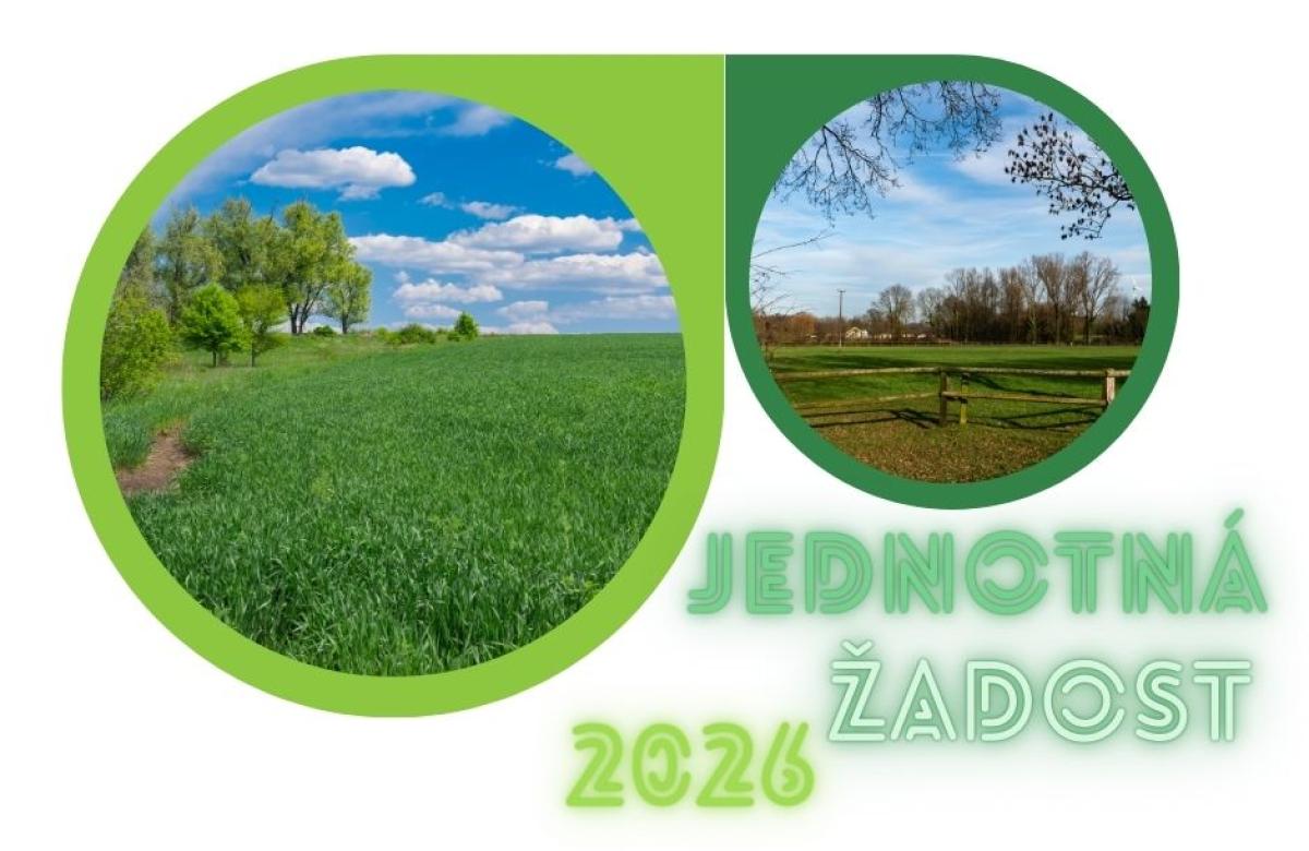 lustrační snímek, zdroj Canva.com