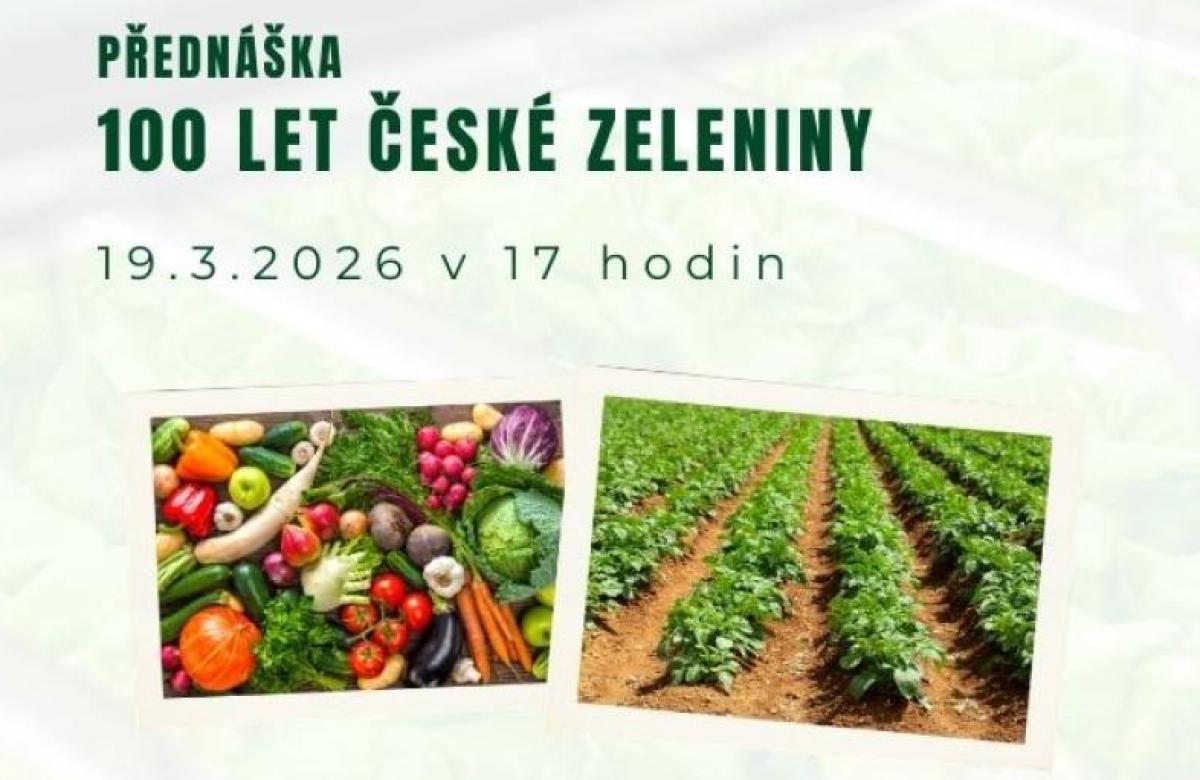 Ilustrační snímek, zdroj KAŠ