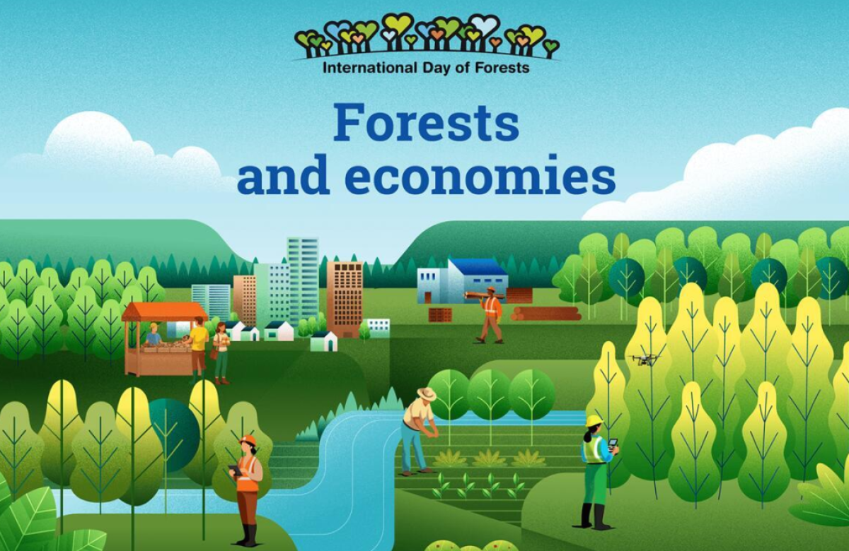 Ilustrační snímek, zdroj FAO