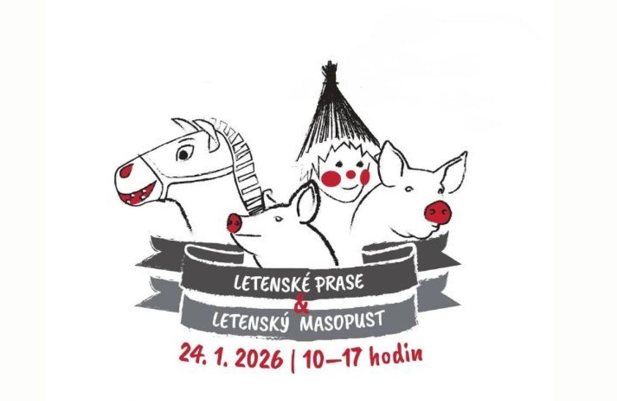 Ilustrační snímek, NZM