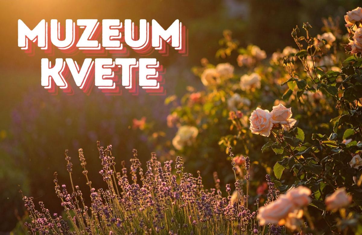 Ilustrační snímek, zdroj Canva