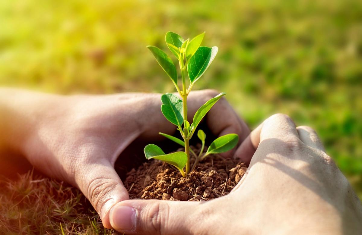 Ilustrační snímek F1Digitals, zdroj Pixabay.com