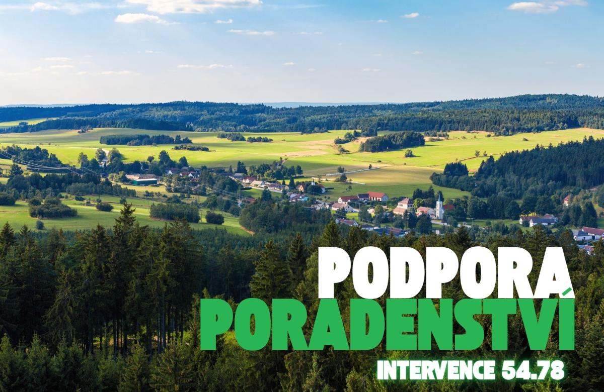 Ilustrační snímek, zdroj Canva