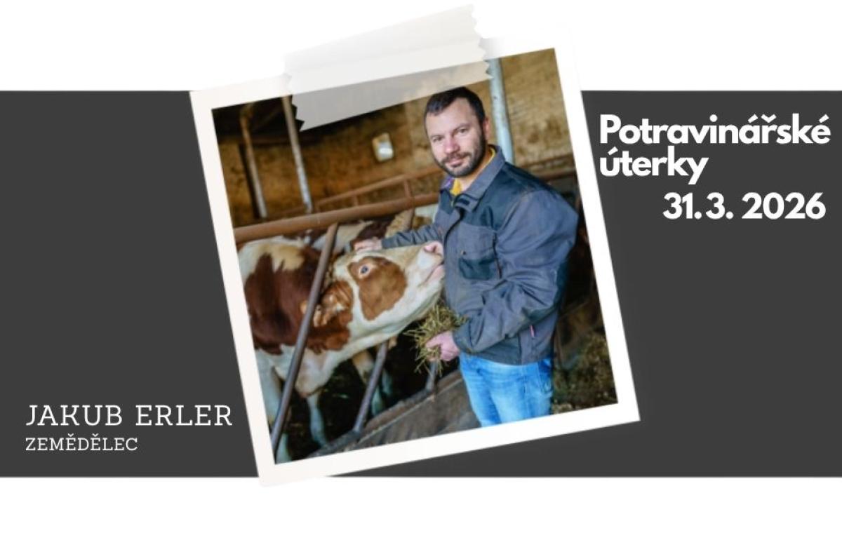 Ilustrační snímek, zdroj Naše hospodářství