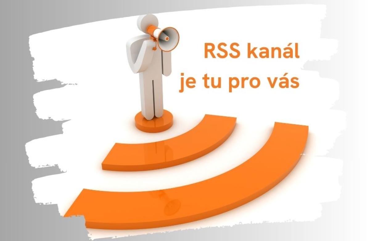 Ilustrační snímek, zdroj Canva