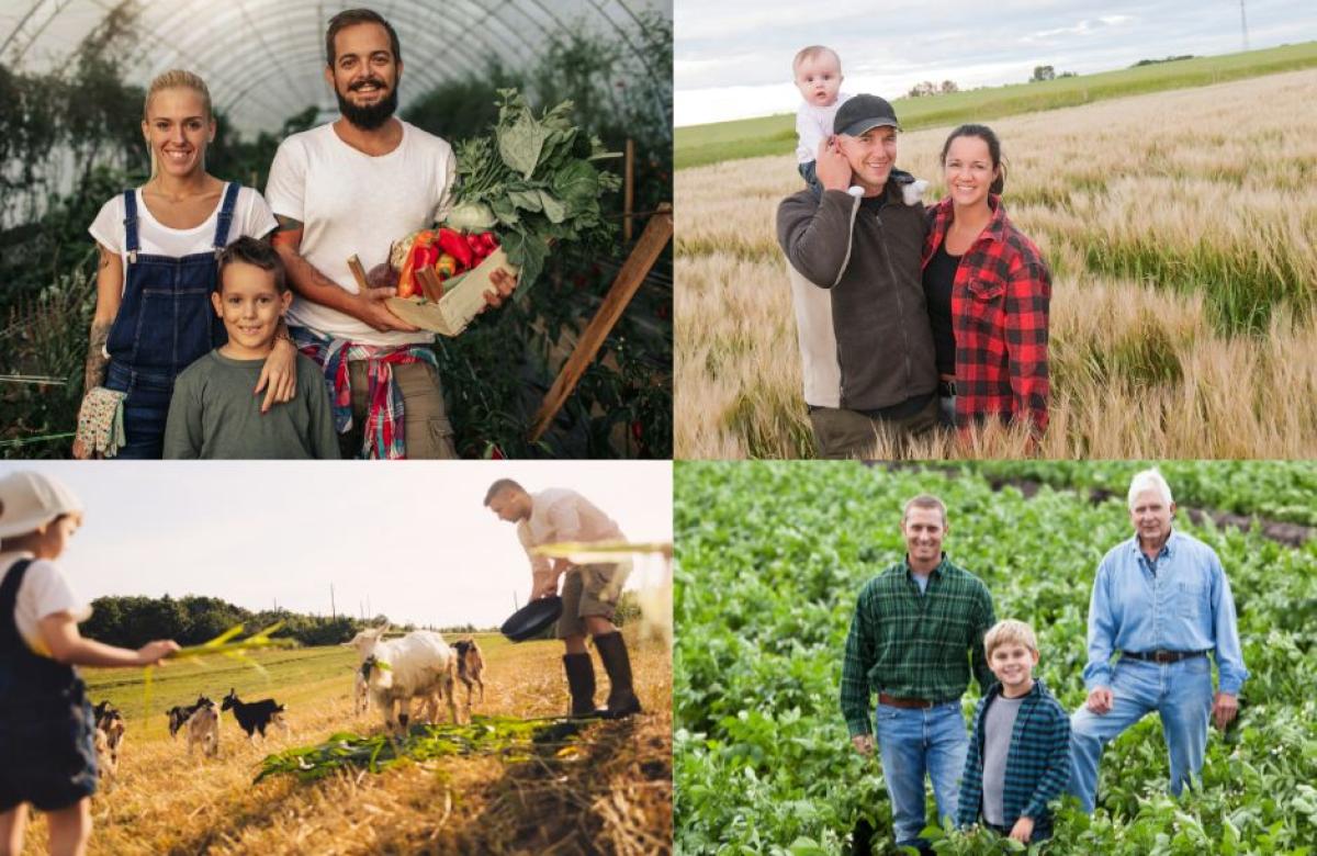 Ilustrační snímek, zdroj Canva.com