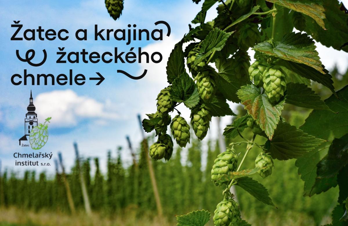 Ilustrační snímek, zdroj Canva