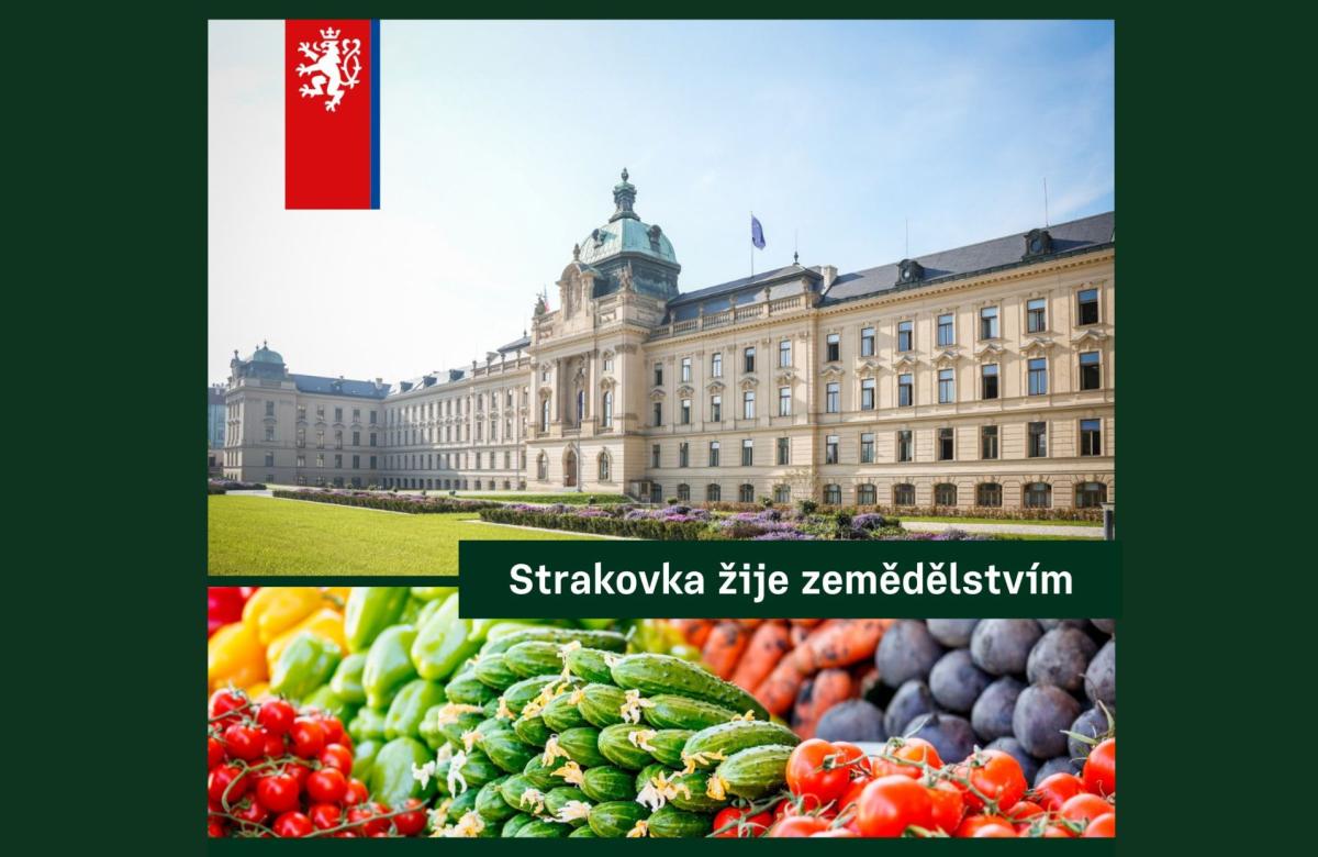 Ilustrační snímek, zdroj MZe