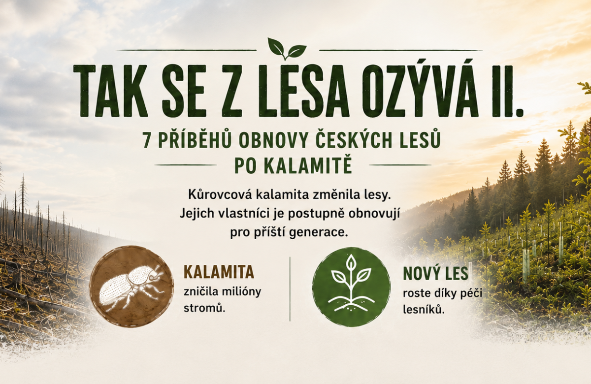 Ilustrační snímek, zdroj SVOL - Kouzlo lesa