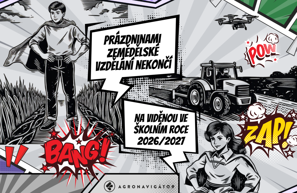 Ilustrační snímek, zdroj Canva