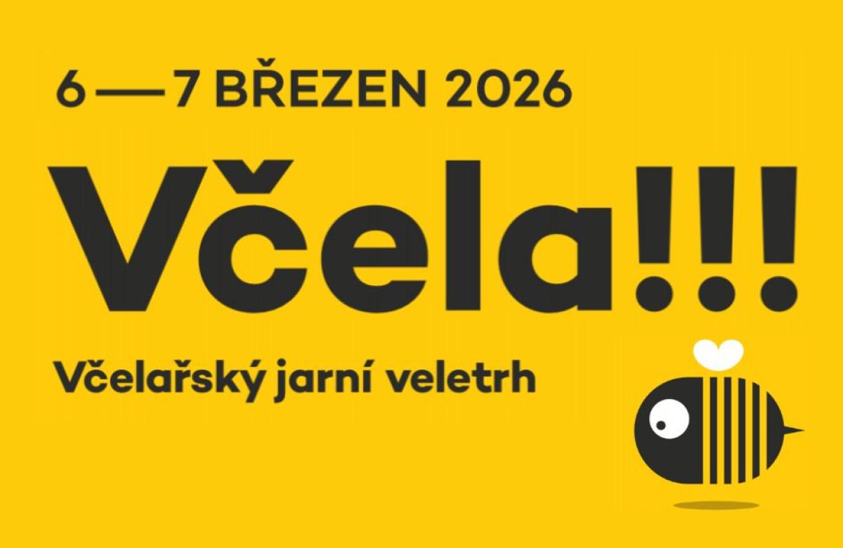 Ilustrační snímek, zdroj Včela!!!OSTRAVA!!!