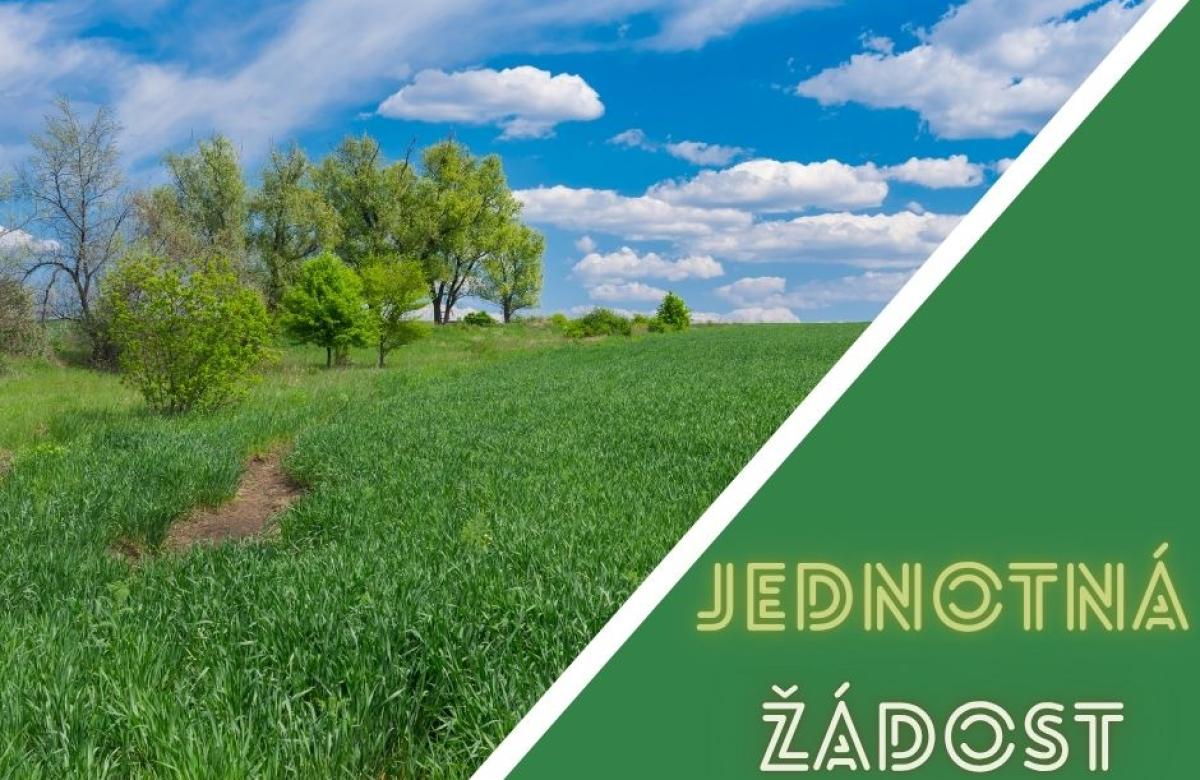 Ilustrační snímek, zdroj Canva.com