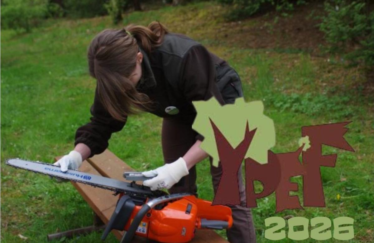 Ukázka z národního kola předešlých ročníků, zdroj: YPEF