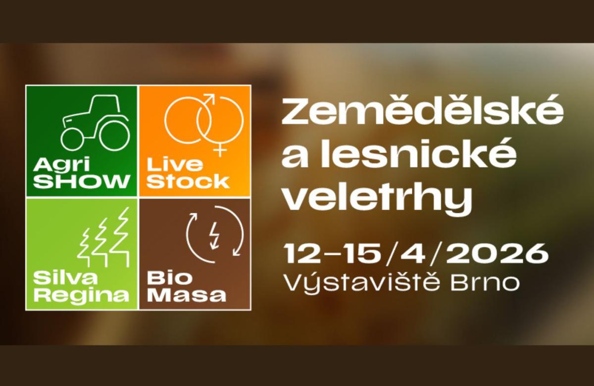 Ilustrační snímek, zdroj pořadatelé BVV