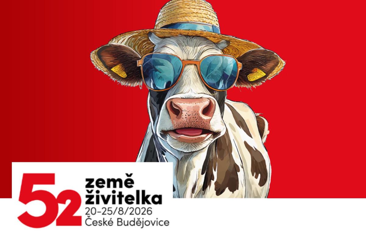 Ilustrační snímek zdroj VCB