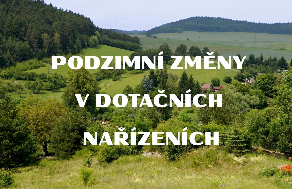 Ilustrační snímek, zdroj Canva