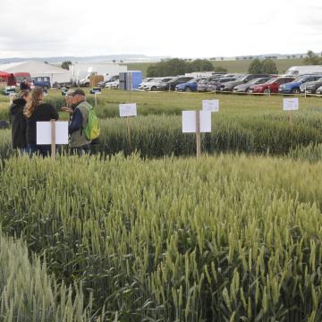 Součástí programu byla i přehlídka 600 odrůd zemědělský plodin, zdroj foto ProfiPress