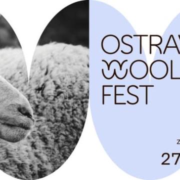 Ilustrační snímek, zdroj Ostrava Wool Fest